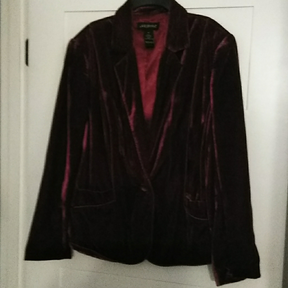 Velvet Blazer